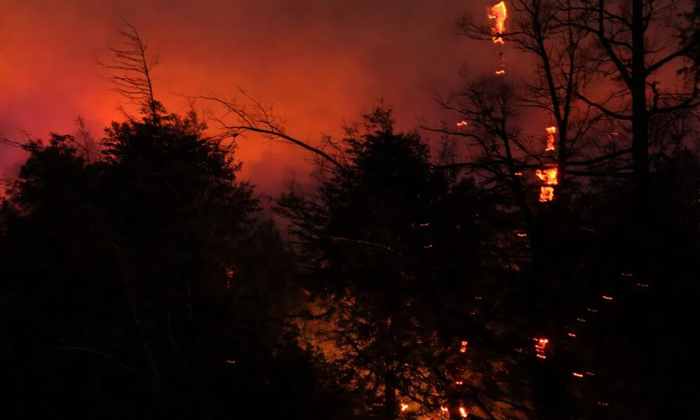 Arduo trabajo nocturno contra el fuego