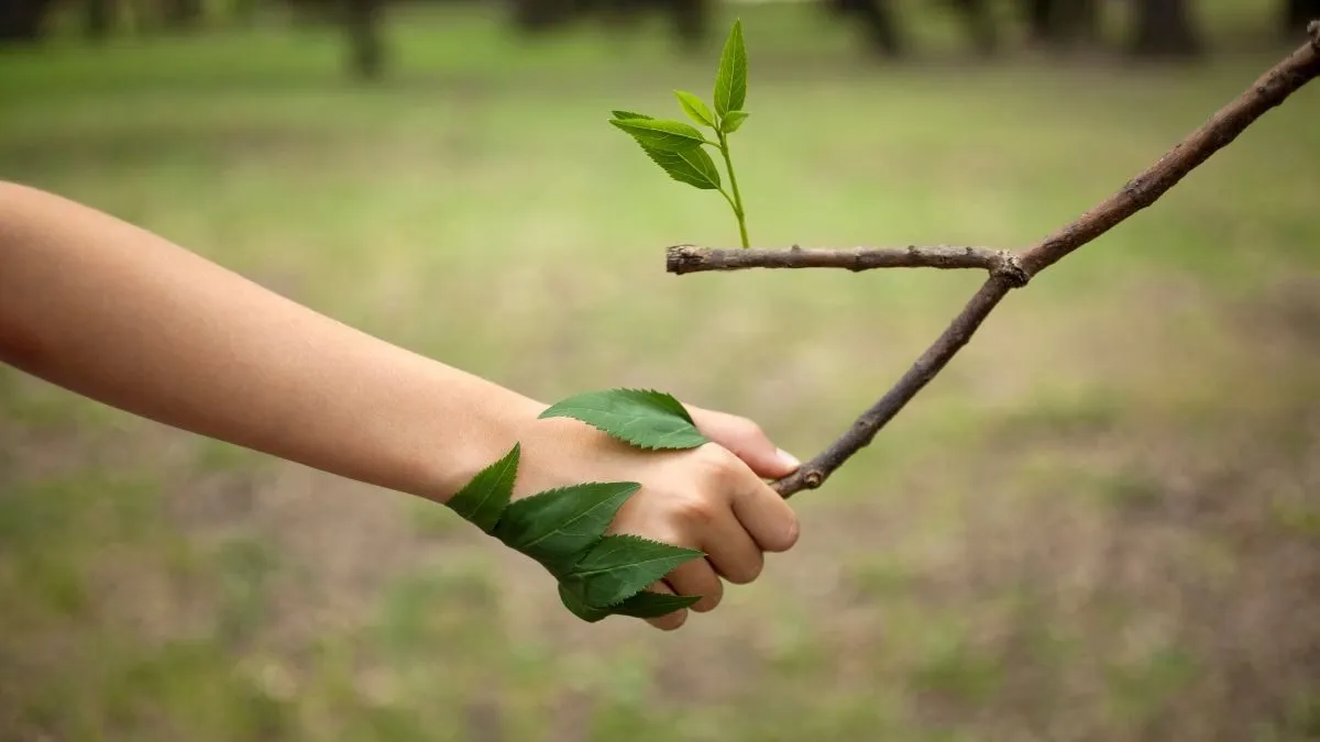 Día mundial del medio ambiente