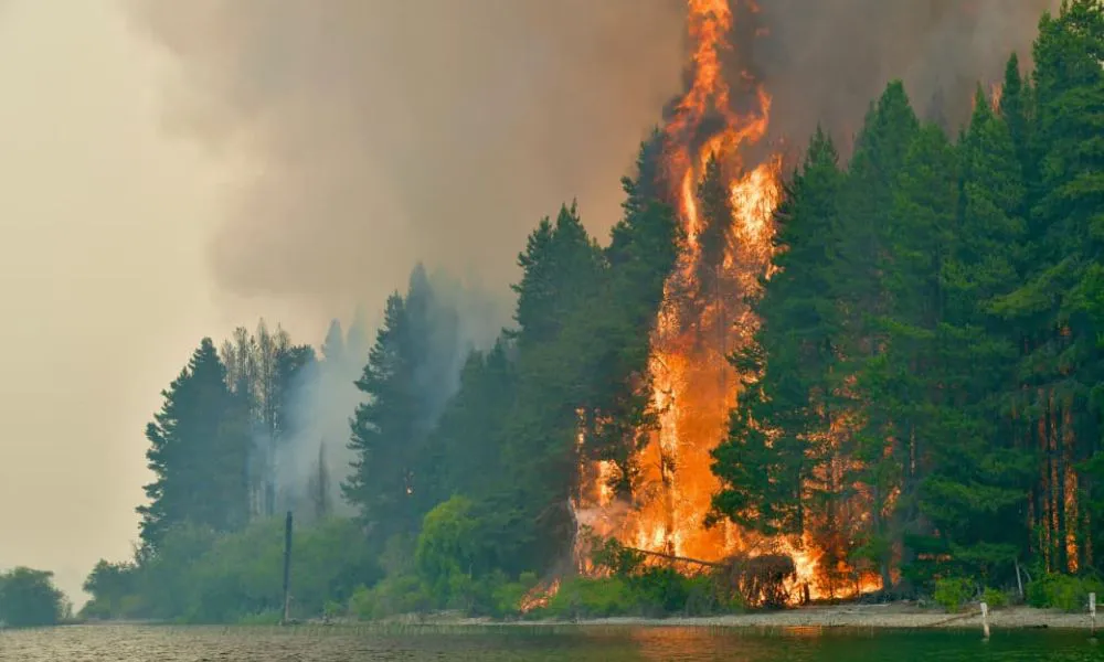 Incendios en la Cordillera 2026 18