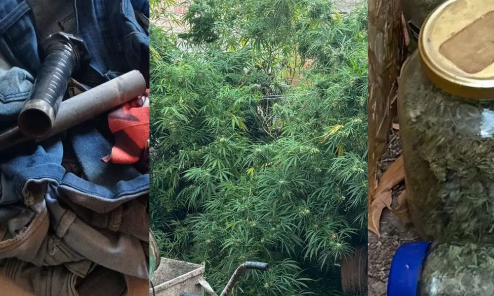 Descubren drogas en Neuquén