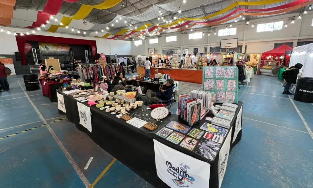 feria escuela 728