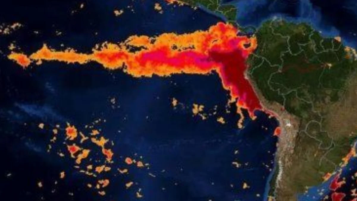 El Niño vuelve a escena