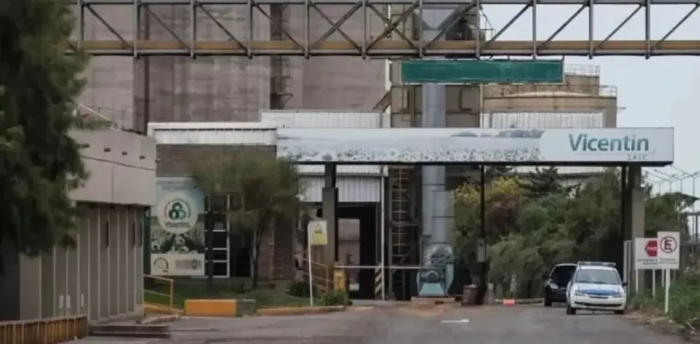 vicentin