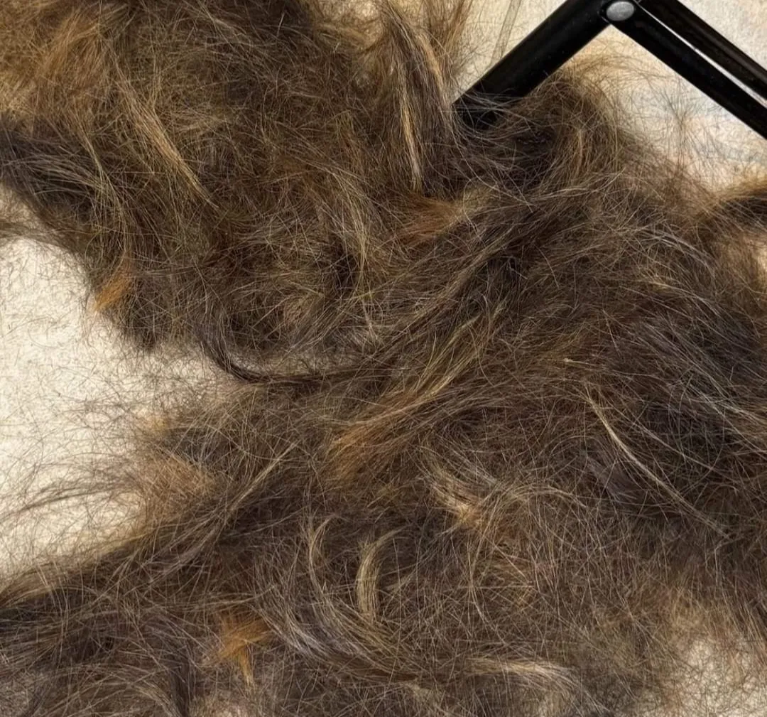 Screenshot_20240713-142502