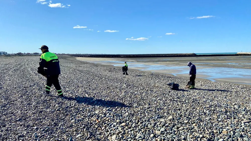 El Municipio de Rawson realizó trabajos de limpieza en las playas Santa Isabel y La Galesa