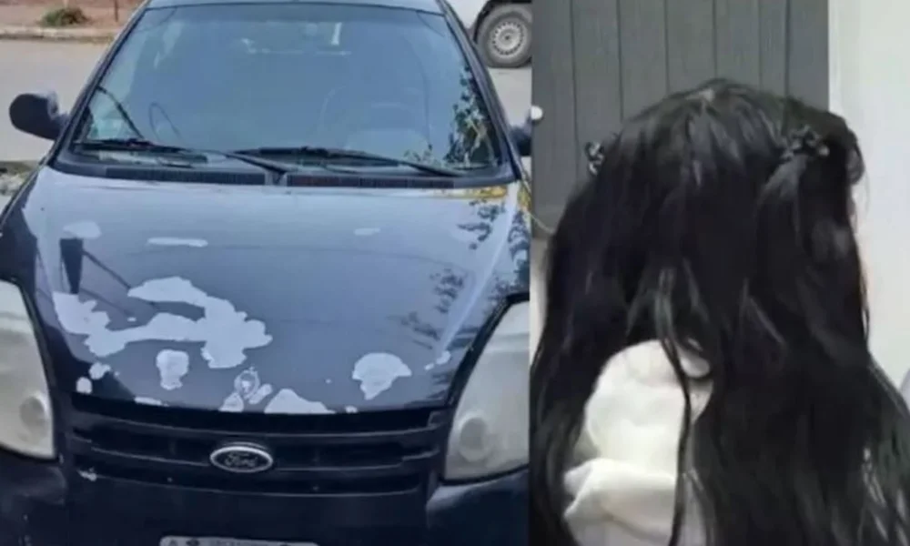 La mujer arrestada fue identificada como Soledad, dueña registral del rodado.