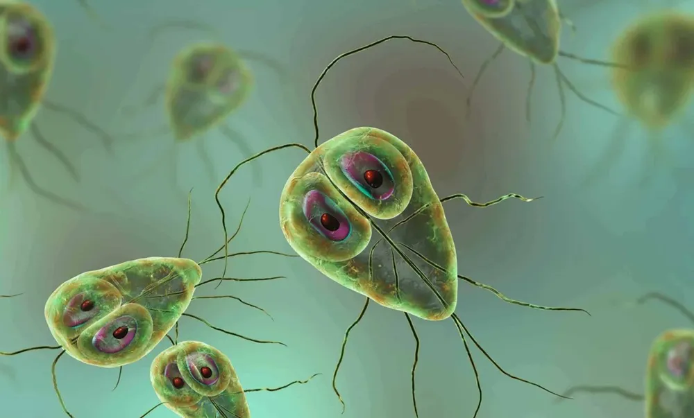 Gardiasis (Foto: Shutterstock)