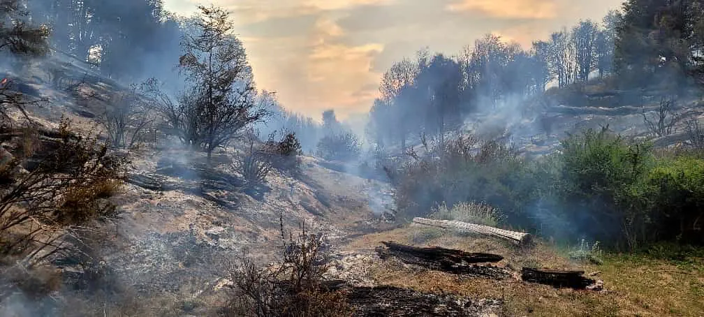alerces incendio