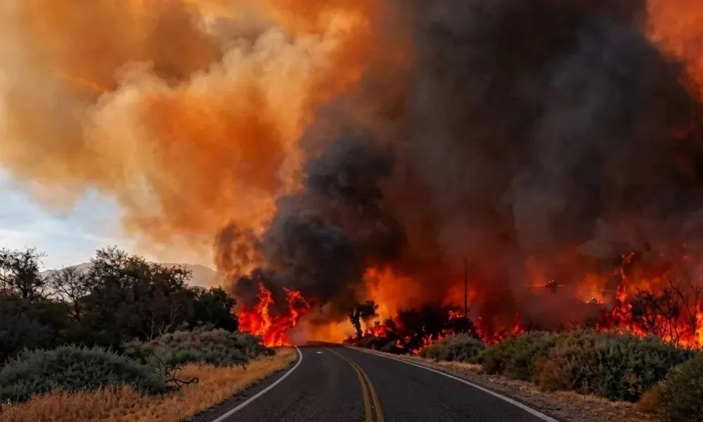 Incendio forestal en Cafayate. Foto Minuto Neuquén