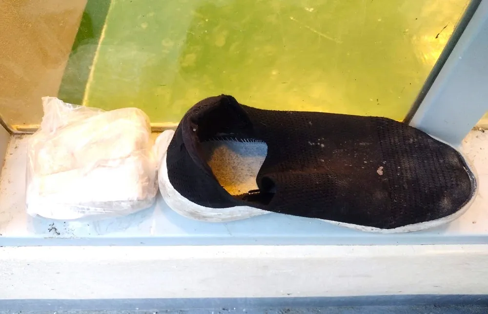 requisa ipp 2_11zon