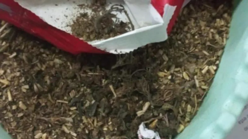 Yerba