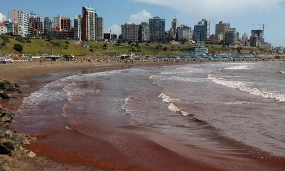 Mar del Plata