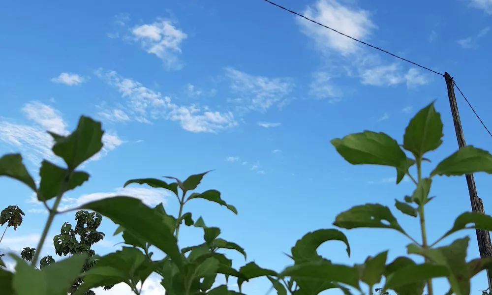 Cielo con viento foto Freepick