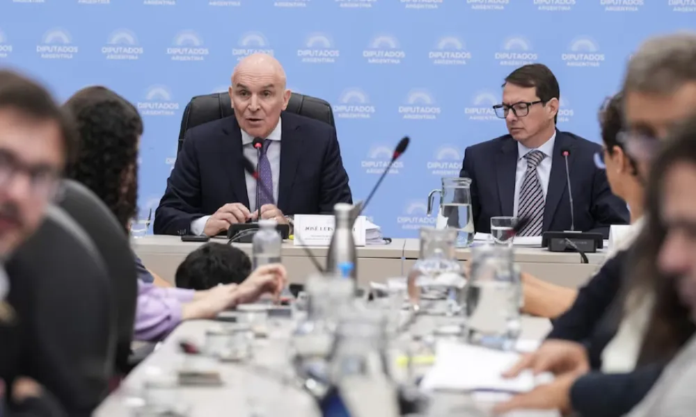 Espert en la Comisión de presupuesto