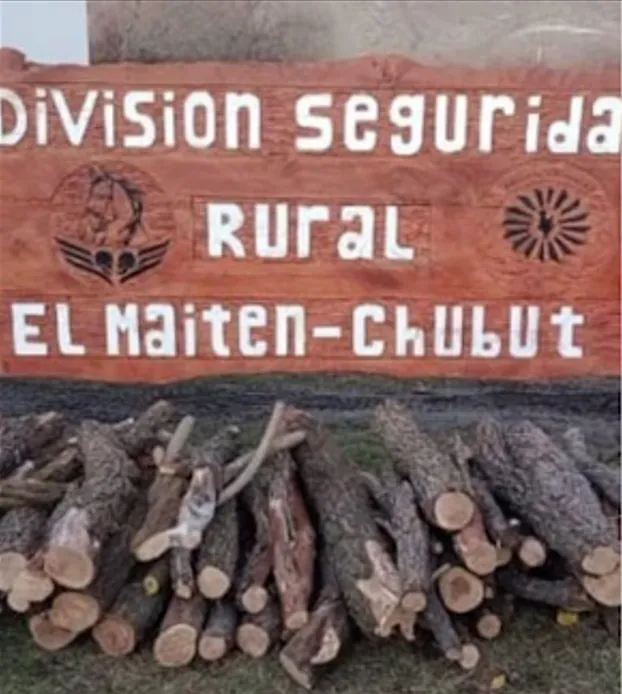 Procedimiento