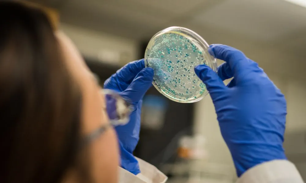 Resistencia antimicrobiana