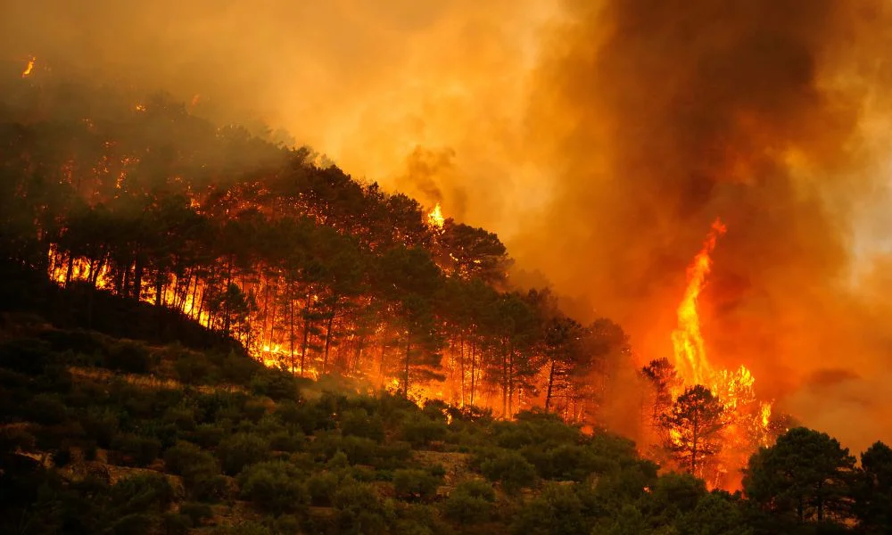 Incendios forestales en España. Foto Greenpeace