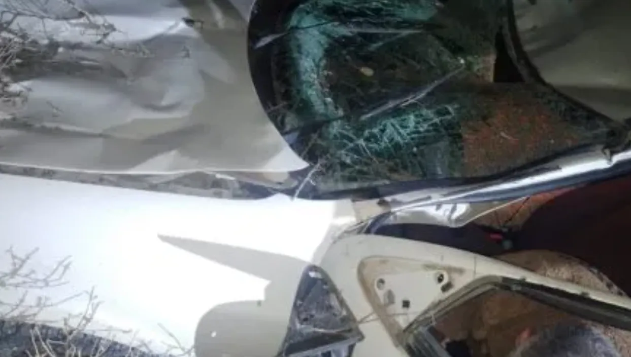 ACCIDENTE EN LA DOBLE TROCHA: UN CABALLO SE CRUZÓ EN LA VÍA Y PROVOCÓ LESIONES A UNA PAREJA EN UN AUTO