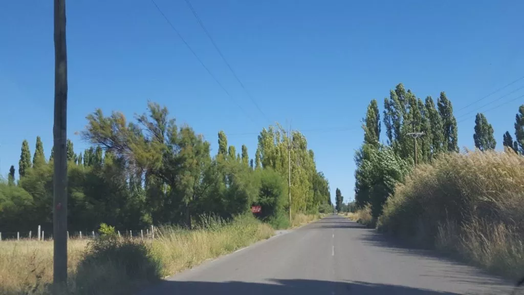 Otoño en el VIRCH