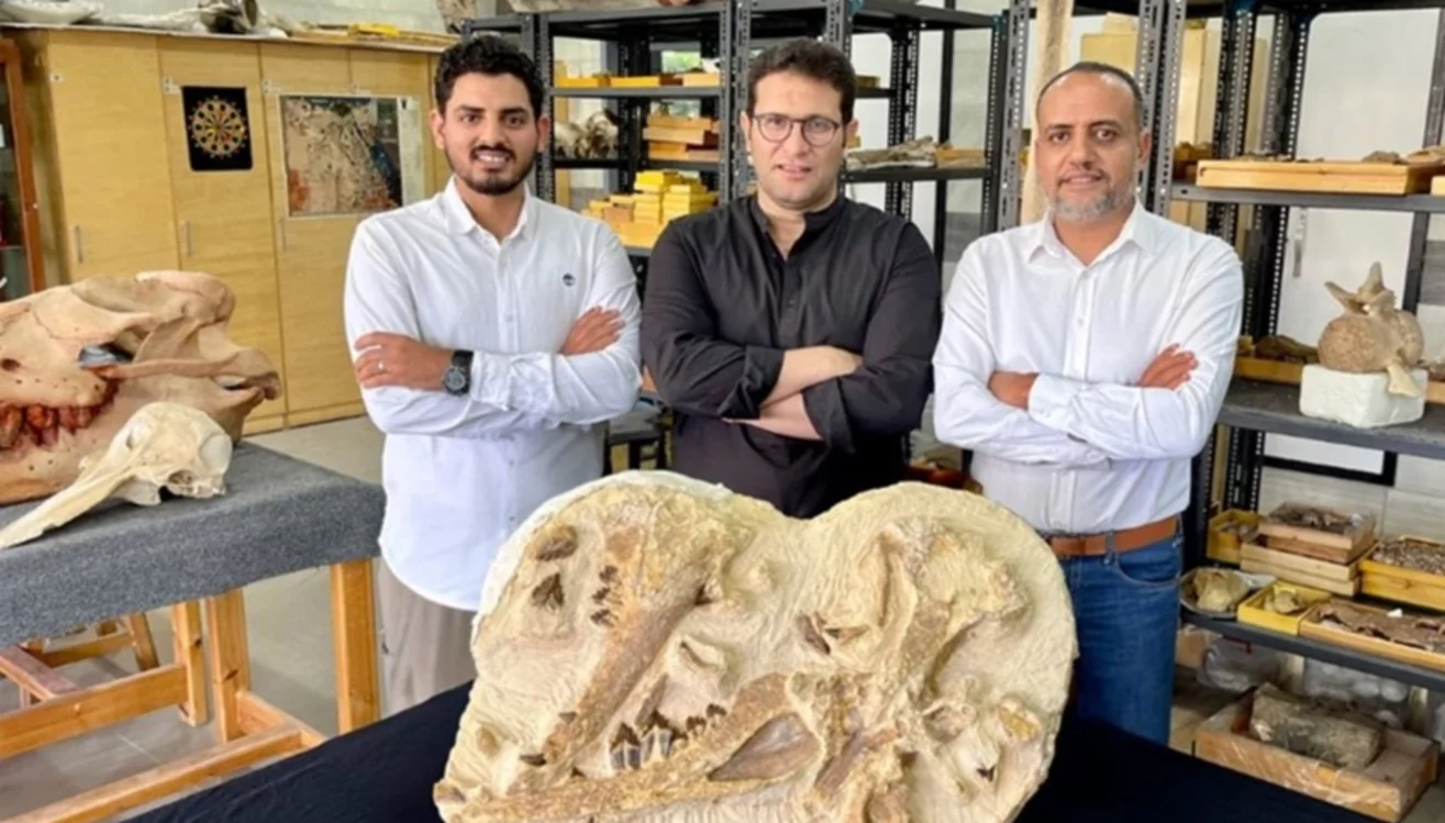 EQUIPO DE INVESTIGACIÓN