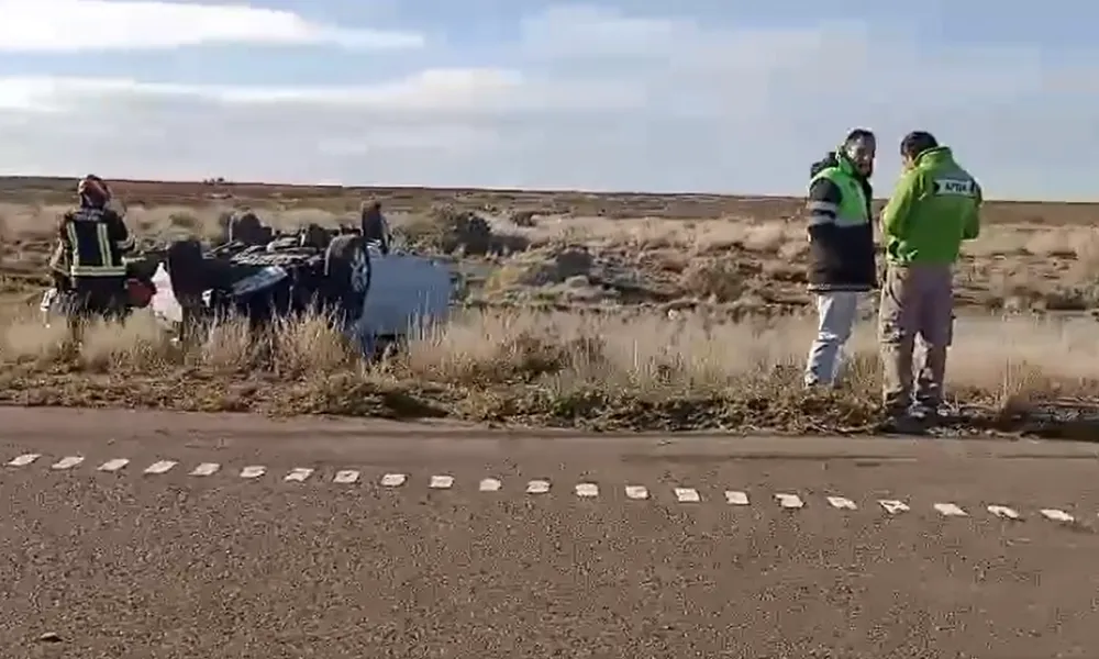 vuelco dino
