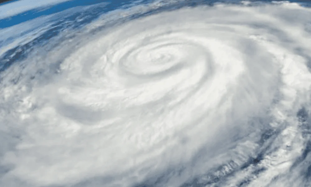 Los investigadores construyeron en 2022 una torre experimental de 75 metros de altura.