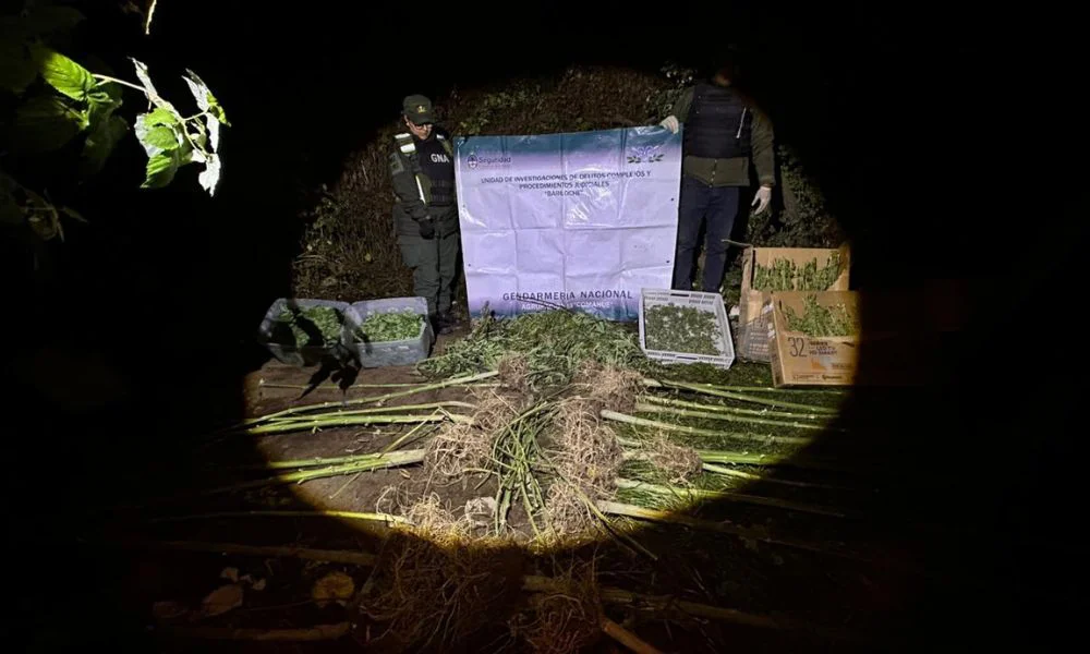 Cavaron un pozo y encontraron 11 kilos de marihuana