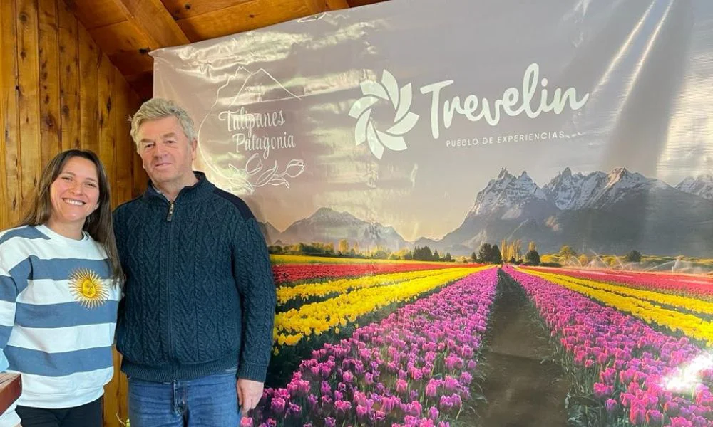 Trevelin prepara la temporada de tulipanes