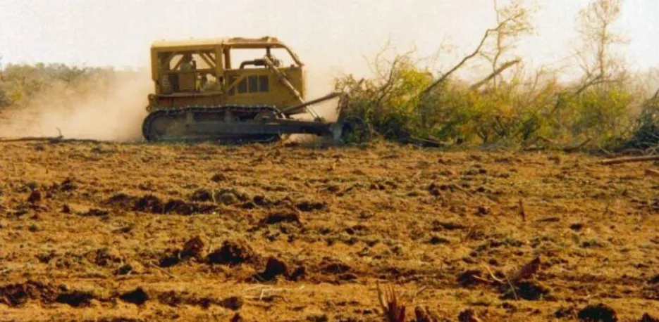 deforestacion