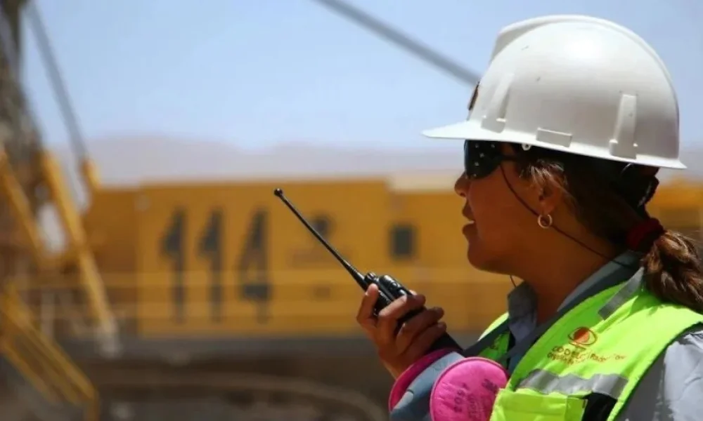 El crecimiento de proyectos del otro lado de la cordillera ya impacta en cámaras empresariales mineras de Chile.