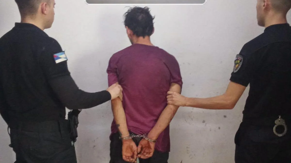 Detienen a un hombre por agredir a policías