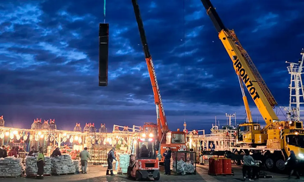 Puerto Deseado, descarga de calamar