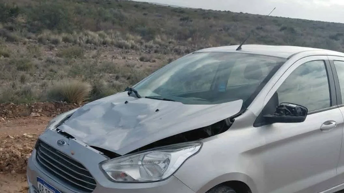 El Ford colisiono un guanaco cerca de Playas Doradas